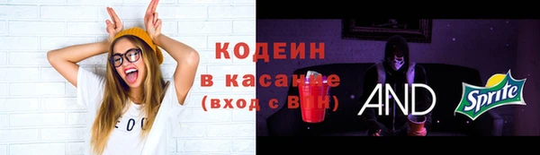 спиды Абаза