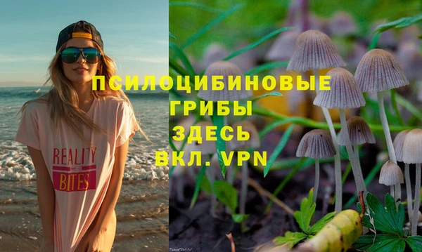 спиды Абаза
