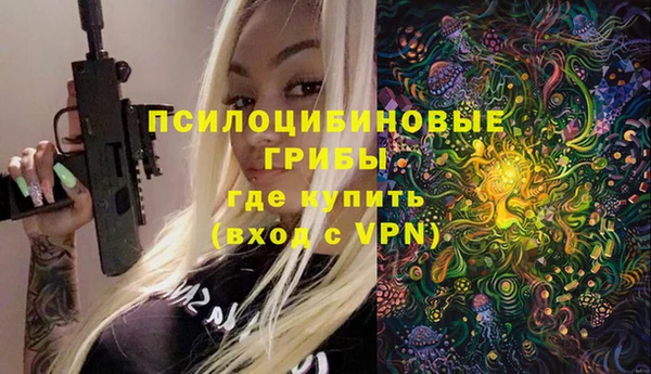 спиды Абаза