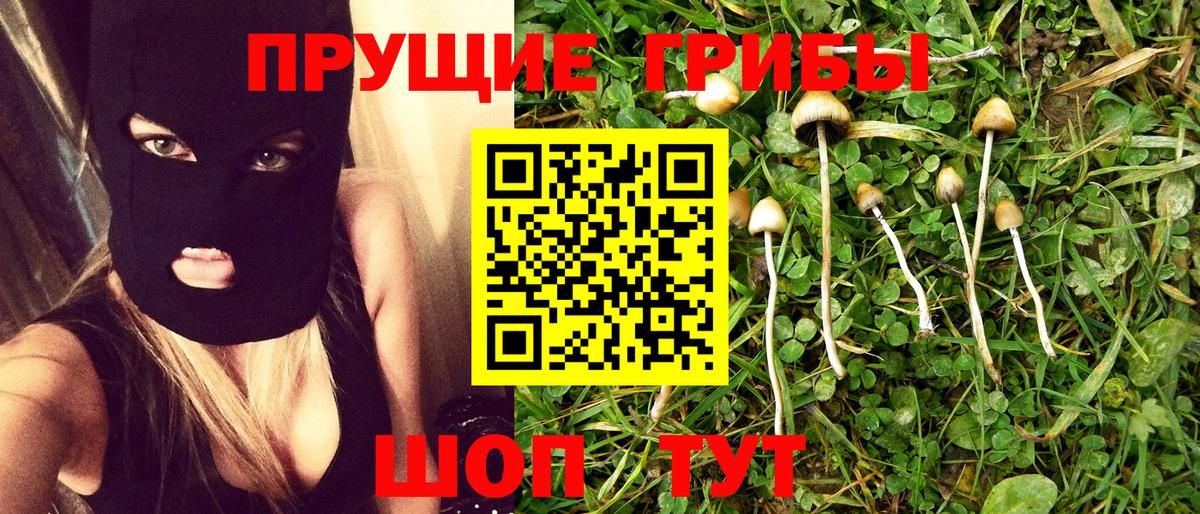 Псилоцибиновые грибы Psilocybine cubensis  Вход с VPN  Урус-Мартан 